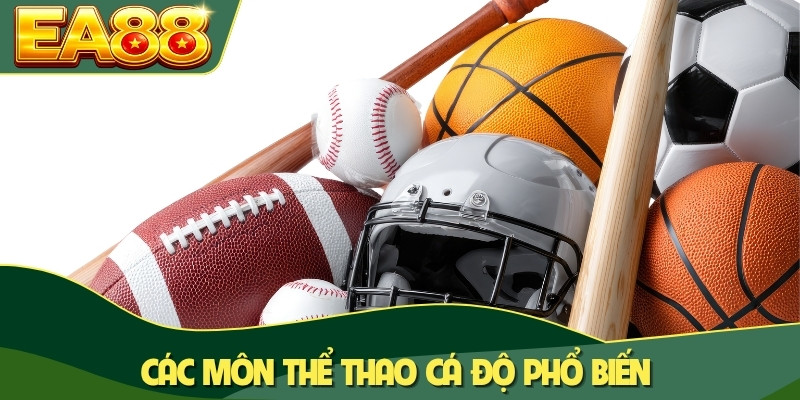 Các nền tảng sportsbook được yêu thích nhất