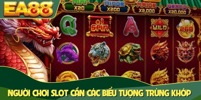 Người chơi slot cần các biểu tượng trùng khớp