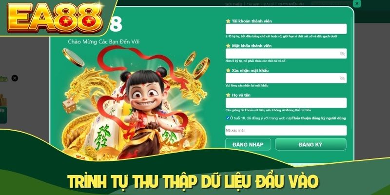 Trình tự thu thập dữ liệu đầu vào