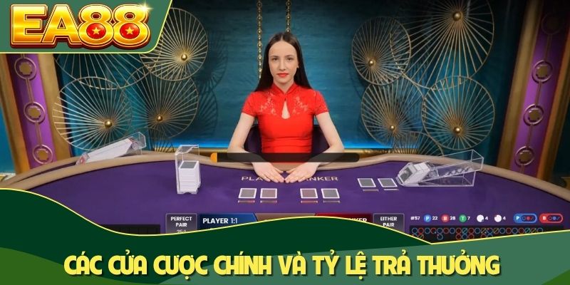 Các cửa cược chính và tỷ lệ trả thưởng
