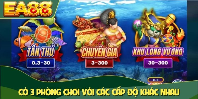 Có 3 phòng chơi với các cấp độ khác nhau để trải nghiệm