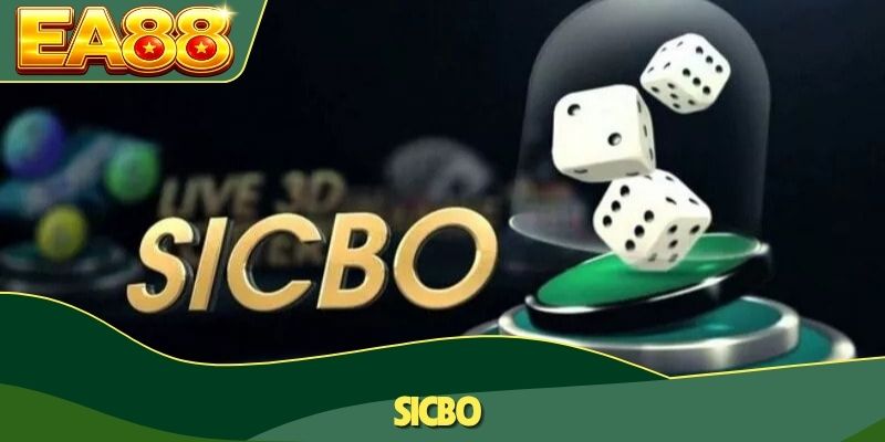 Sicbo