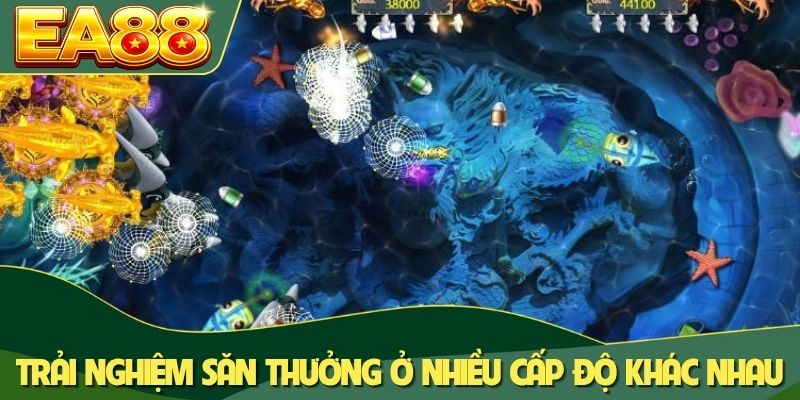 Trải nghiệm săn thưởng ở nhiều cấp độ khác nhau